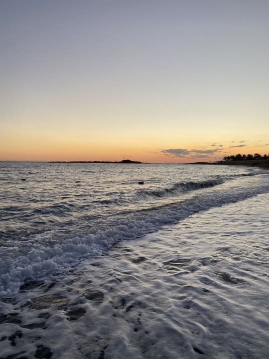 Strand Hotel Gardenia Beach