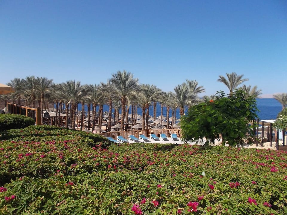Beach The Grand Hotel Sharm El Sheikh