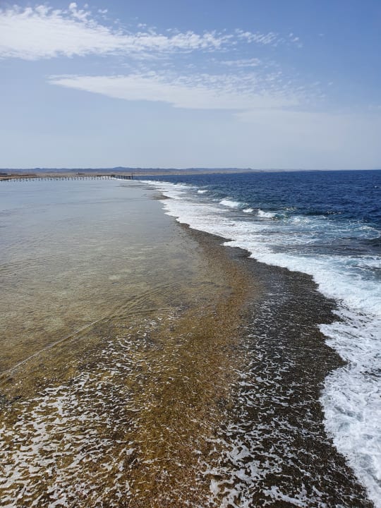 Strand Pickalbatros Sea World Resort - Marsa Alam