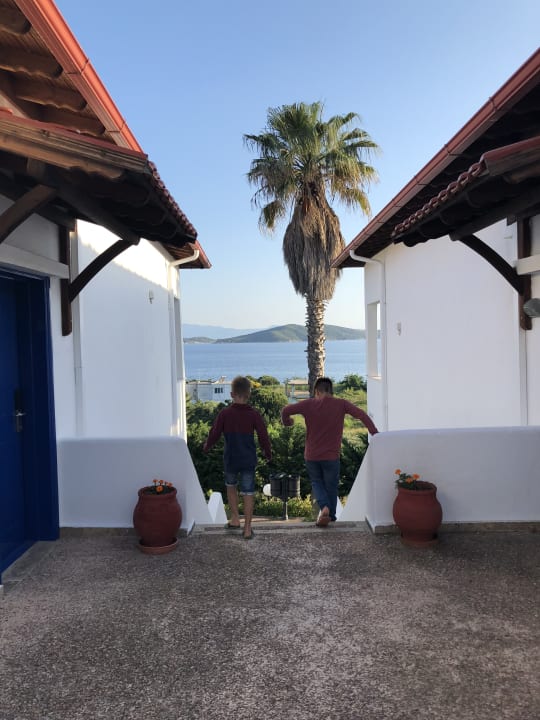 Ausblick Alexandros Palace