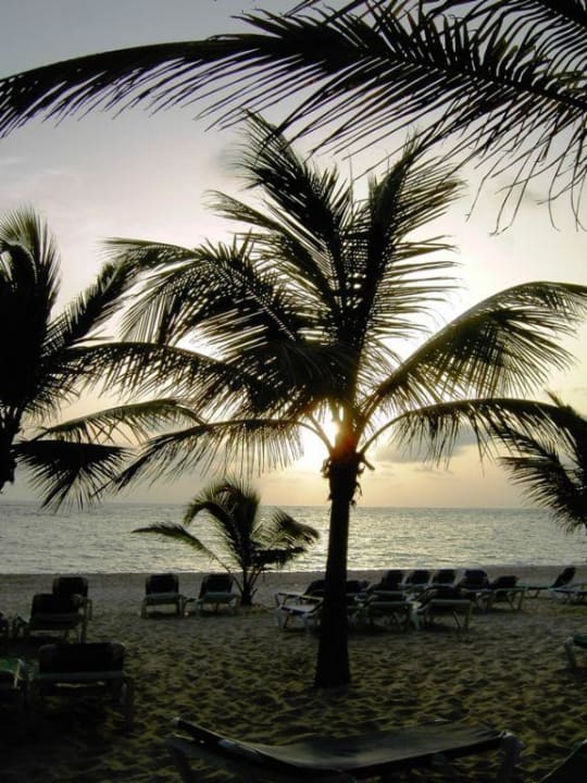 Sonnenaufgang Hotel Riu Bambu