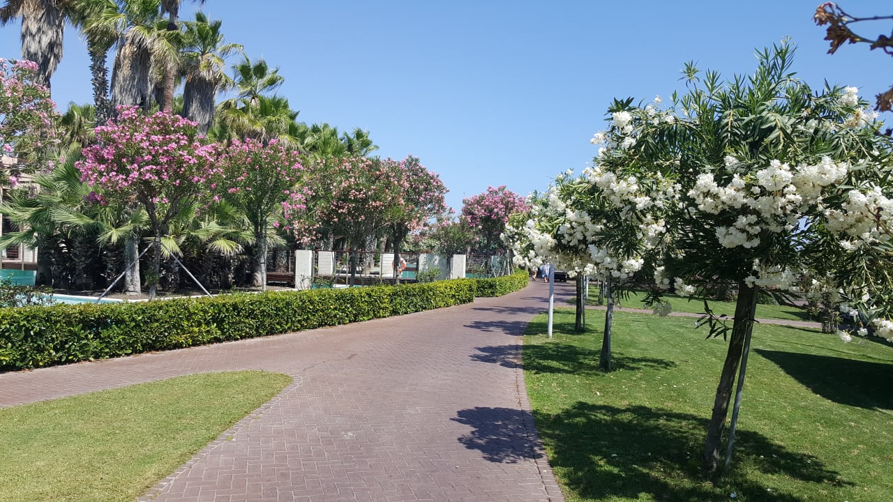 Gartenanlage Gloria Serenity Resort