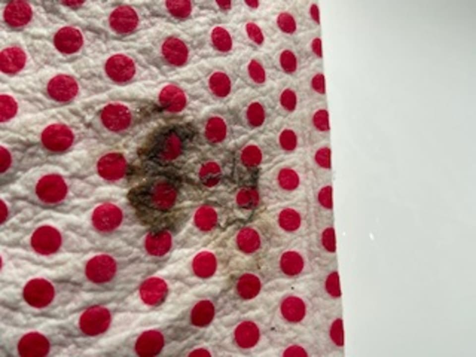 Zimmer Hotel Park Inn Antwerpen