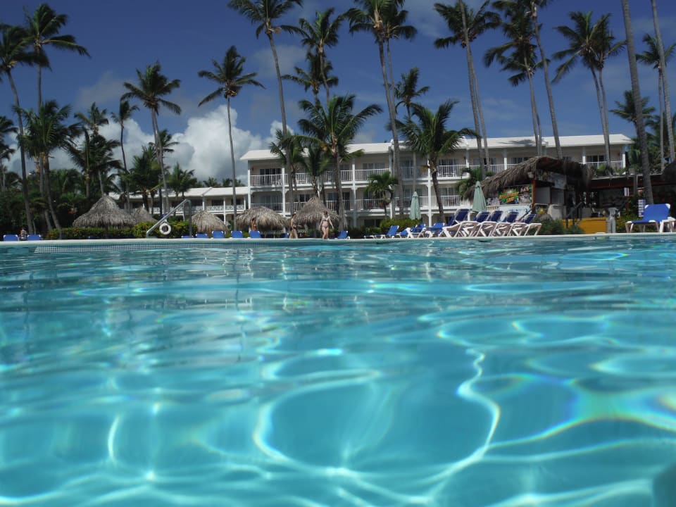 Pool Vom Wasser Vik Hotel Arena Blanca Bavaro • Holidaycheck Dominikanische Republik 8020