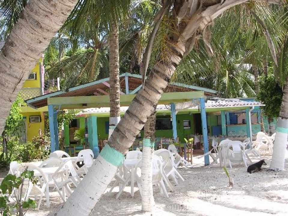 Hotel Cocoplum Beach Resort - Restaurant Cocoplum Beach Hotel