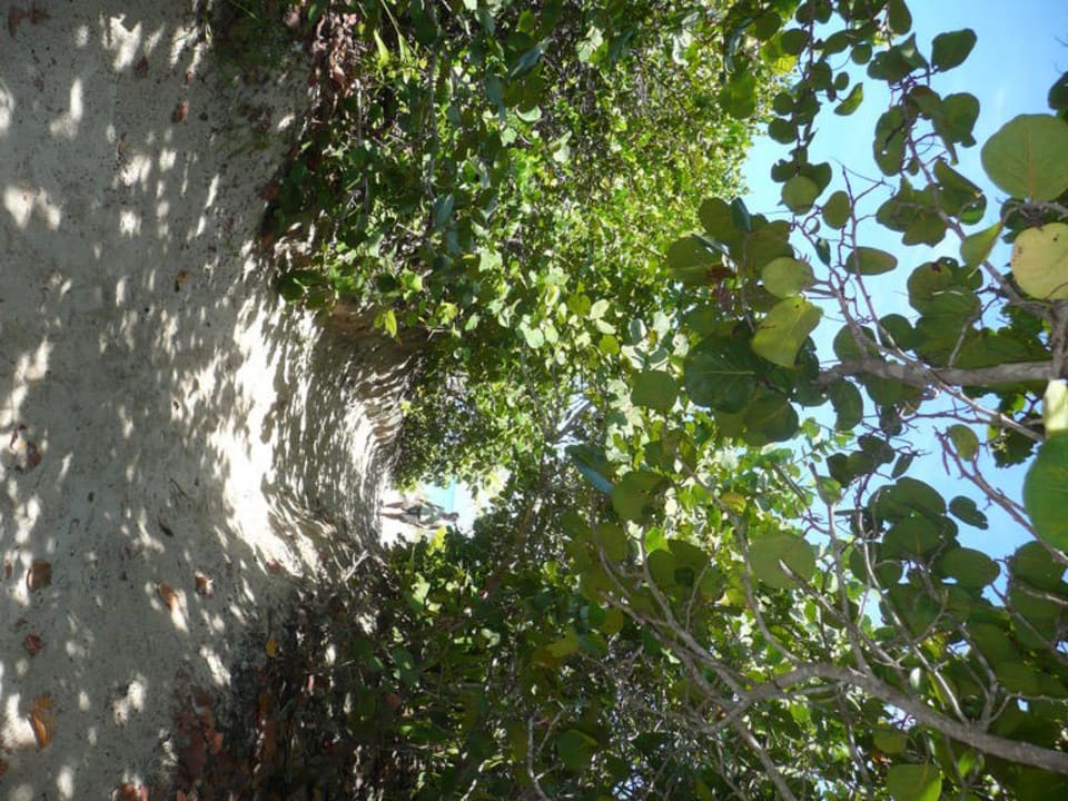 Der Weg zum Strand Melia Las Antillas - Adults only