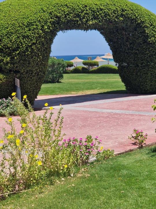 Gartenanlage Cleopatra Luxury Resort Makadi Bay