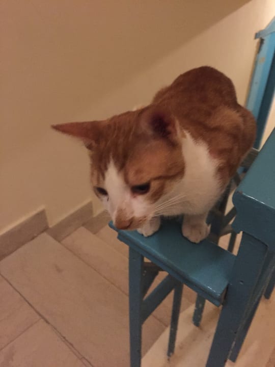 Sonstiges Bella Vista Resort Hurghada