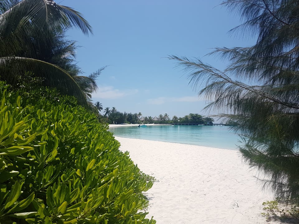 Strand Safari Island Maldives