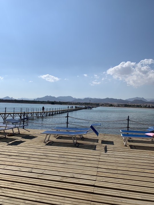 Strand Pickalbatros Royal Moderna Resort-Sharm El Sheikh