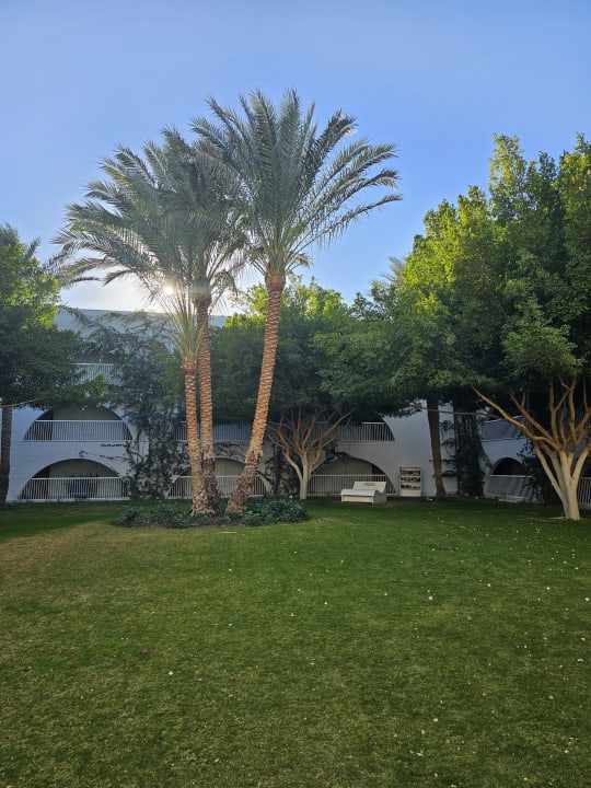 Gartenanlage Desert Rose