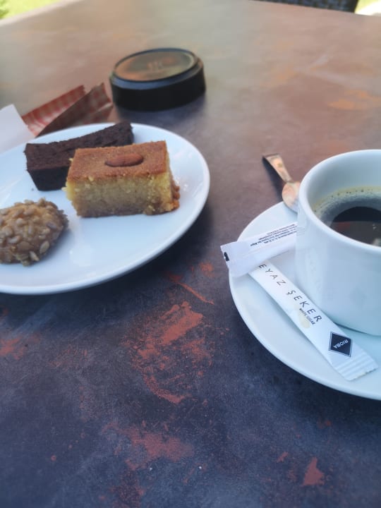 Gastro Grand Alisa Hotel