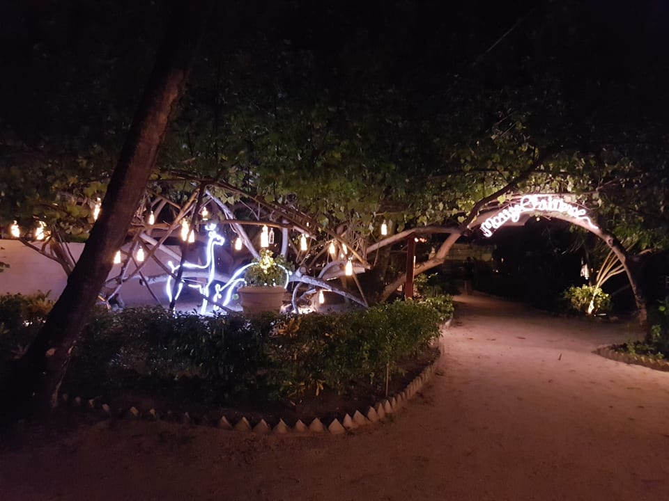 Ausblick Adaaran Club Rannalhi - All Inclusive