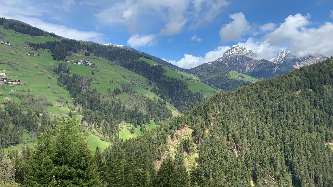 Ausblick Naturchalet Rinkwein & EinStein