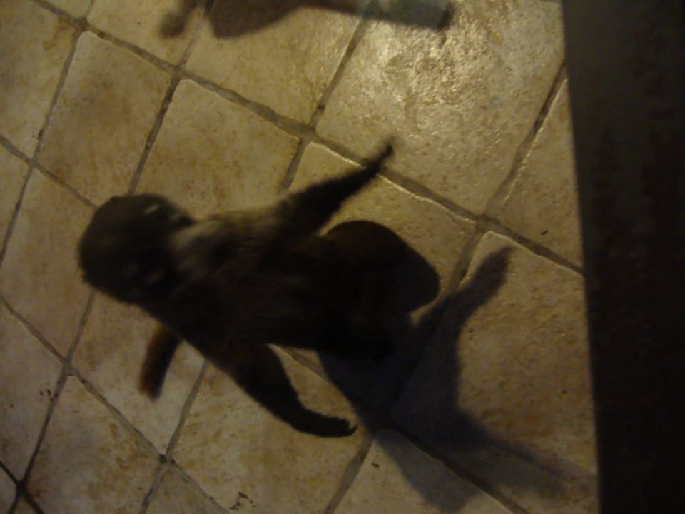 Hotel Catalonia Playa Maroma Catalonia Playa Maroma