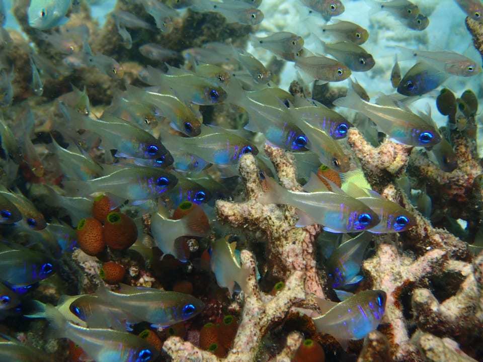 Sonstiges Thulhagiri Island Resort