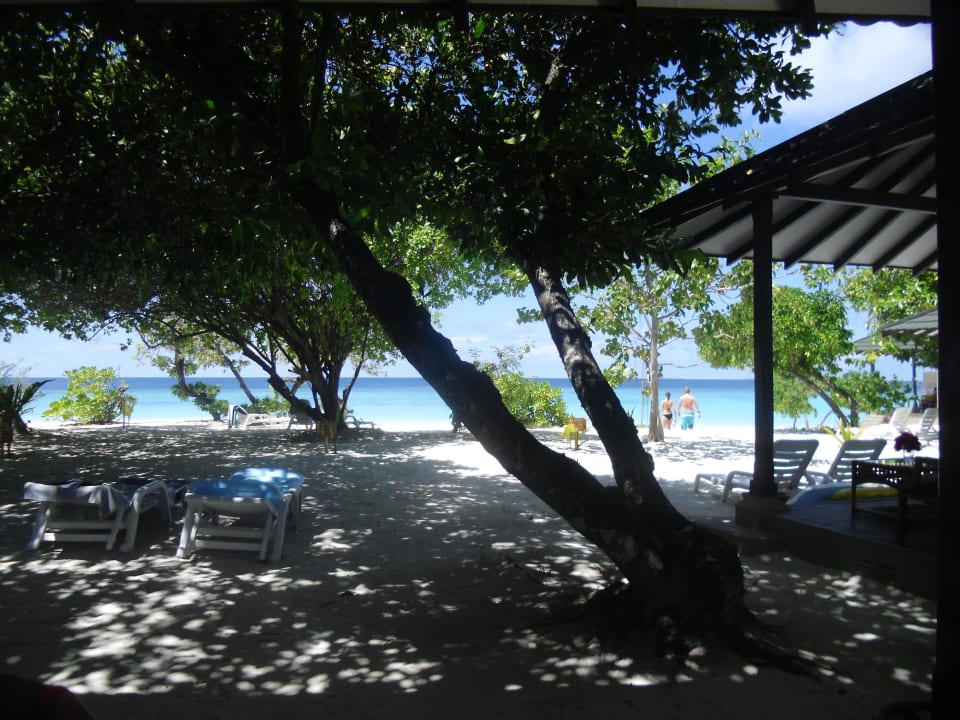 Von der Terrasse zum Meer Adaaran Select Meedhupparu Island Resort - Premium All Inclusive
