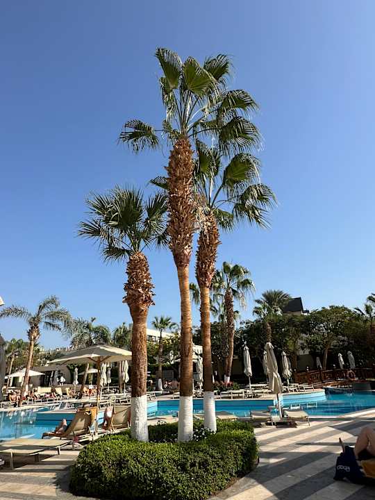 Pool Steigenberger Aqua Magic