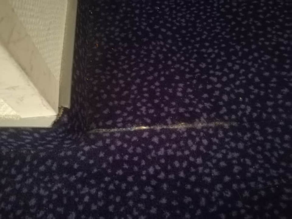 Zimmer Hotel Schere