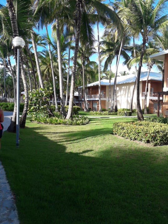 Gartenanlage Hotel Grand Palladium Palace Resort, Spa & Casino