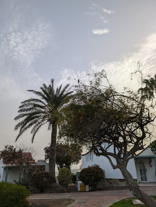Gartenanlage Aldiana Club Fuerteventura