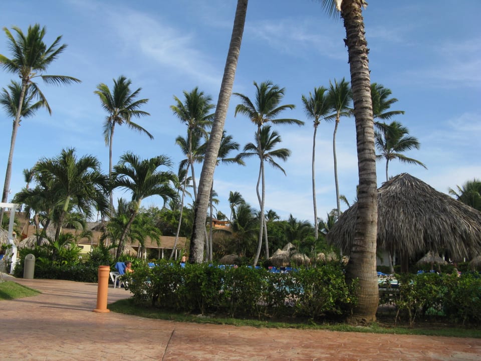 Sehr gepflegte Resort Vik Hotel Arena Blanca & Cayena Beach