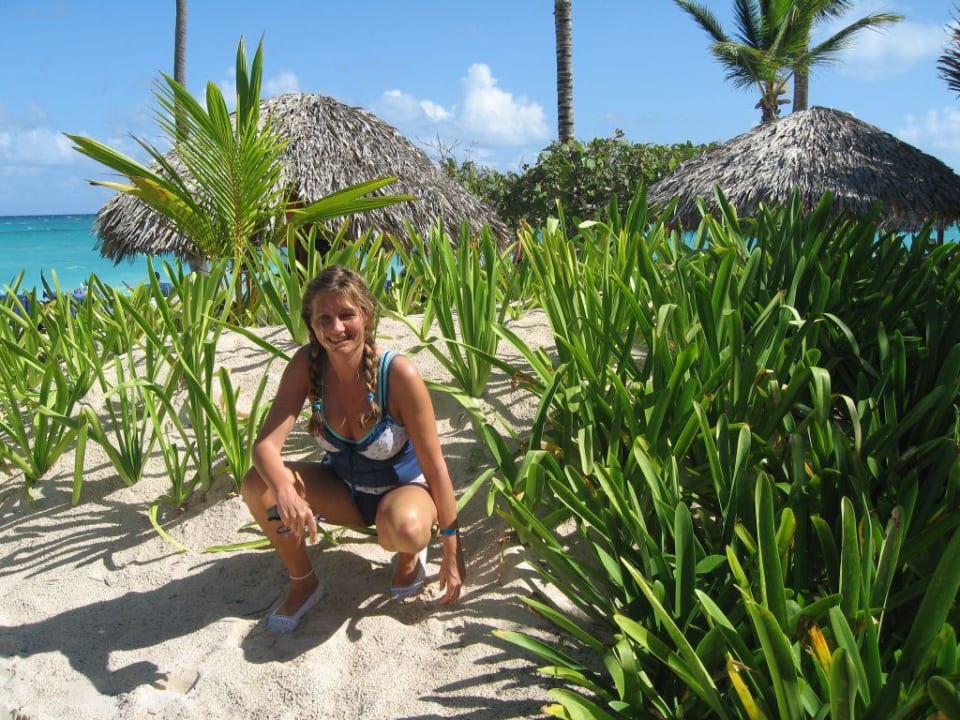 Auf dem Weg zum Strand Hotel Grand Palladium Palace Resort, Spa & Casino