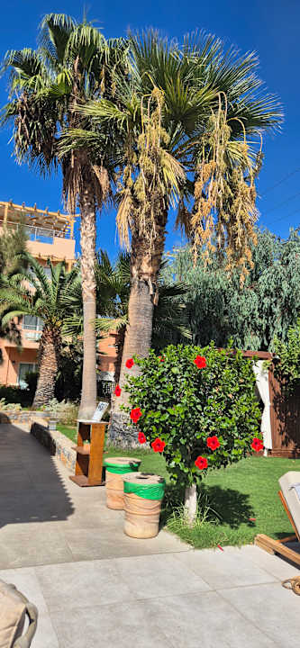 Außenansicht High Beach Resort