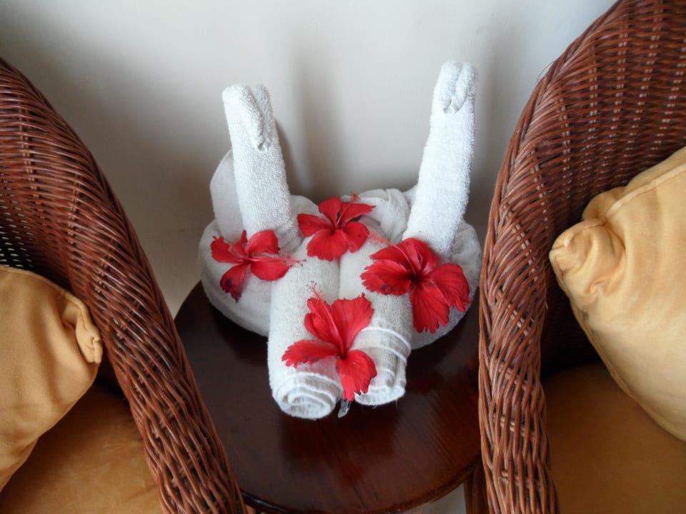 Handtuchfiguren mit frischen Hibiscus Dreams La Romana Resort & Spa