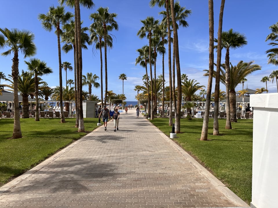 Gartenanlage Hotel Riu Palace Tenerife