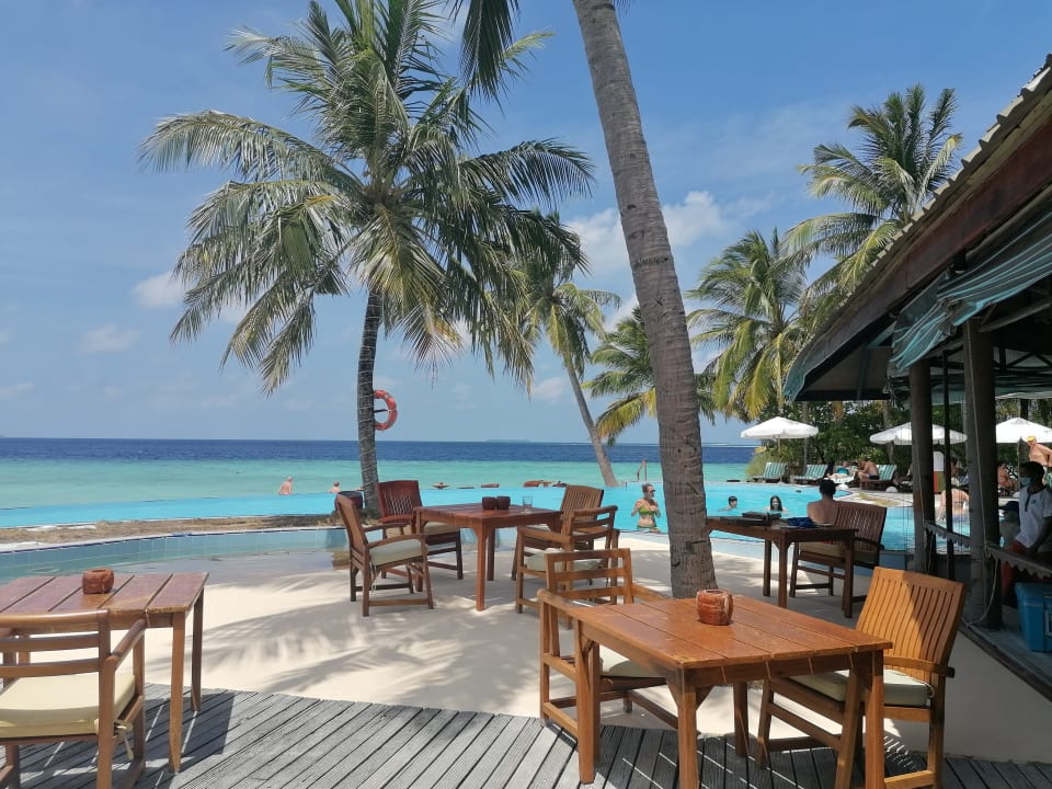 Gastro Filitheyo Island Resort