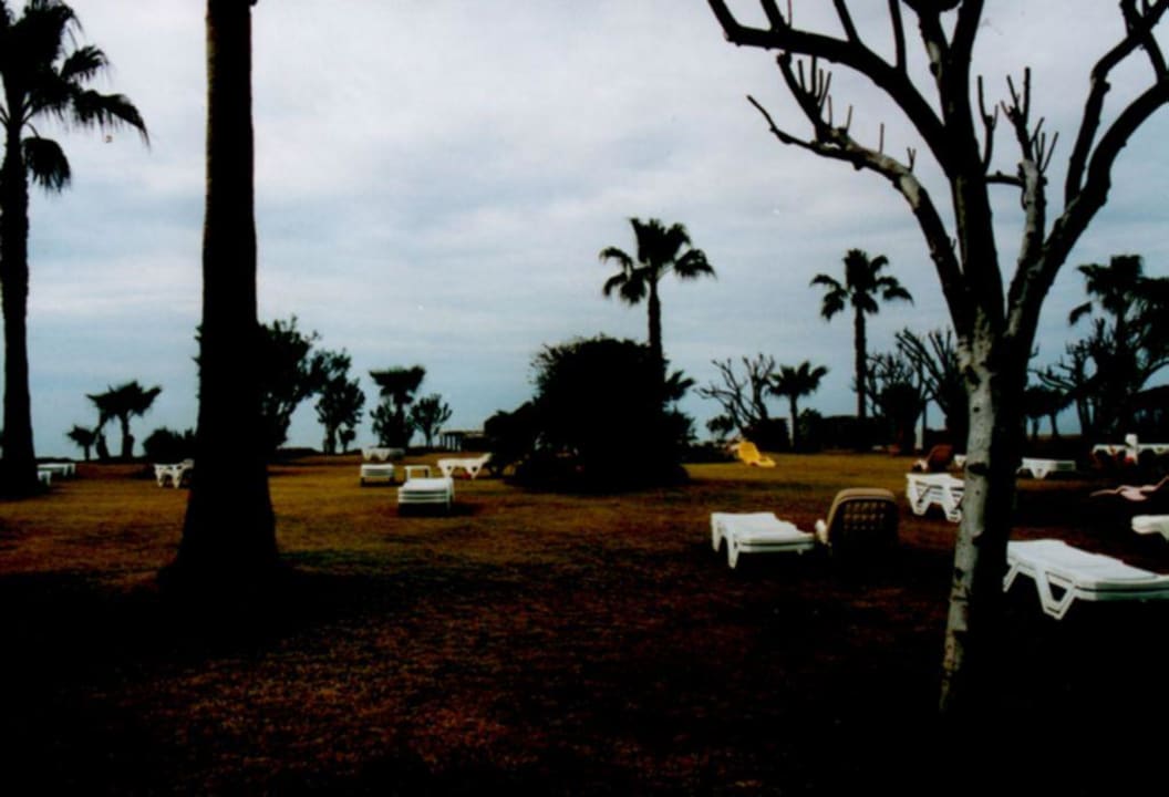 Ein Teil der Gartenanlage MC Beach Park Resort Hotel