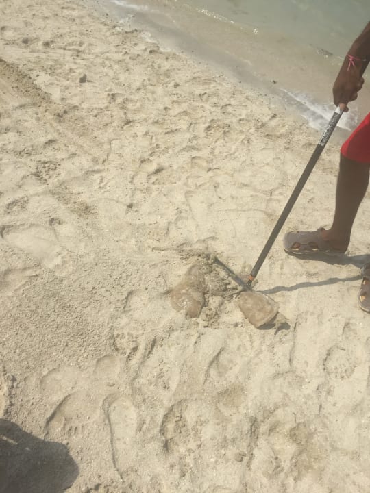 Strand Aloft Palm Jumeirah