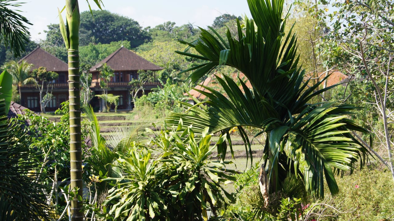 Ausblick Hotel Alam Shanti