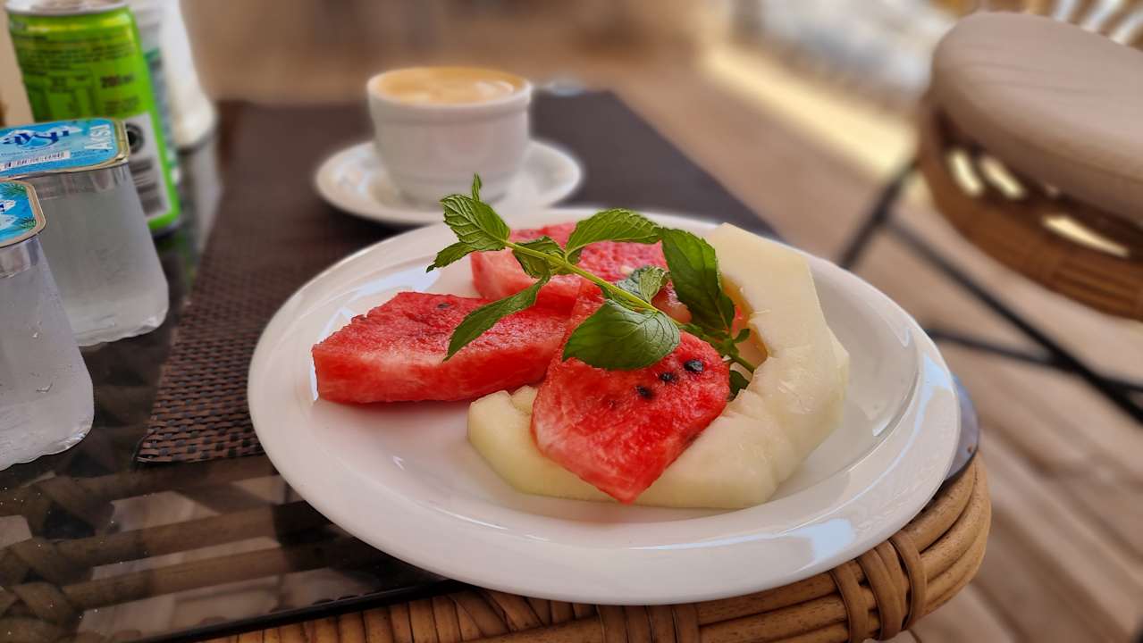 Gastro Seashell Vega