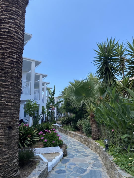 Gartenanlage HARPIN Happy Days Beach Hotel