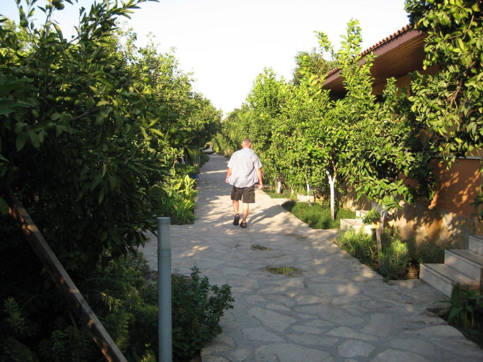 Schöne Gartenanlage Özlem Garden Hotel