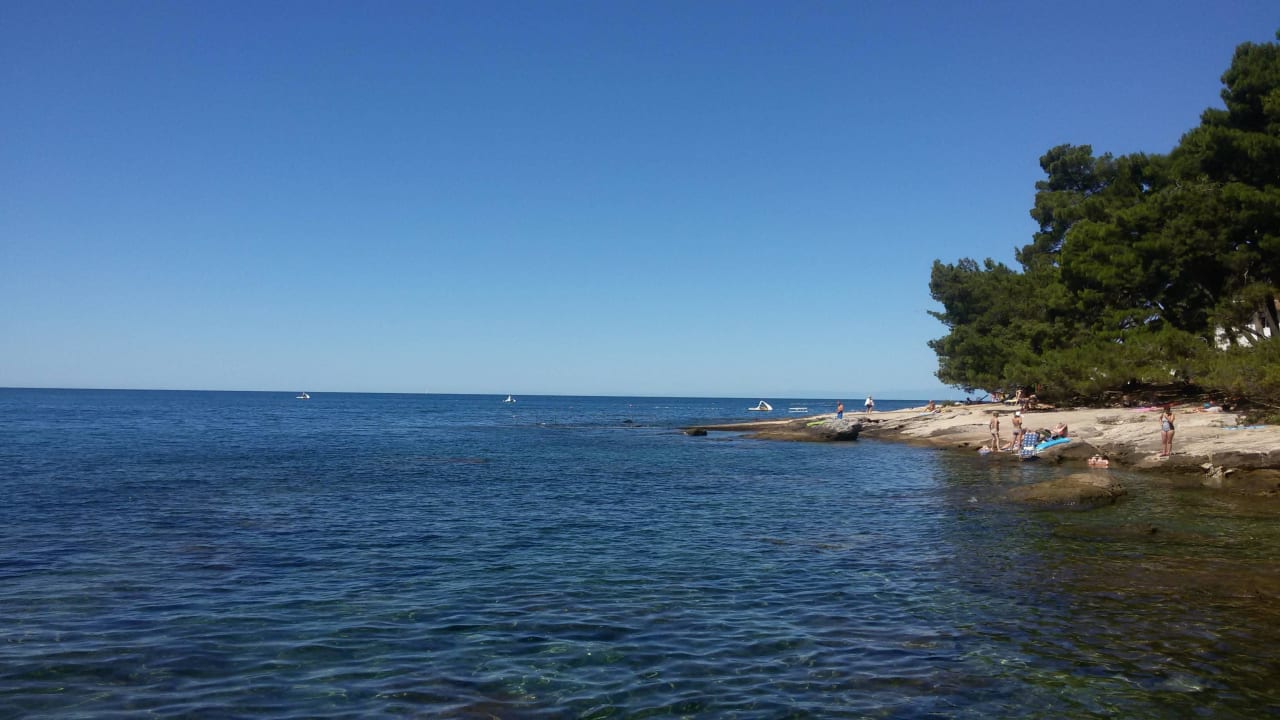 Genuss pur!  Rooms Savudrija Plava Laguna