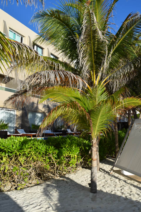 Strand Hotel Flamingo Cancun Resort