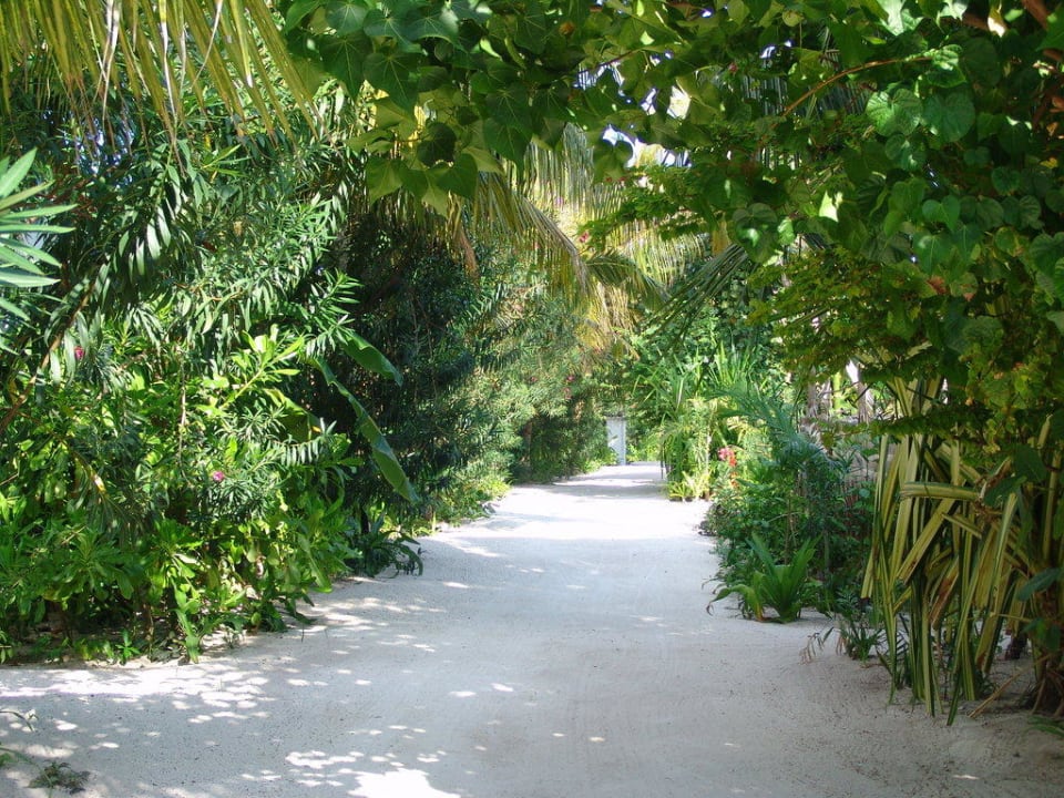 Gehweg2 Machchafushi Island Resort & Spa Maldives, The Centara Collection