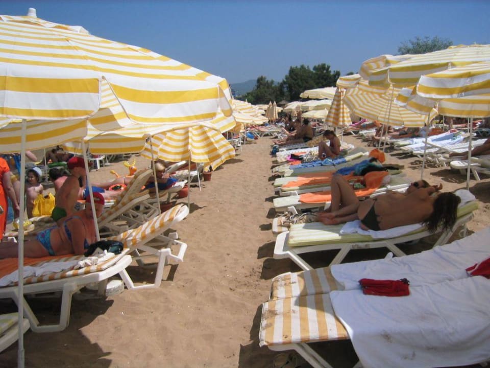 Hotelstrand in der Hauptsaison Alaiye Resort & Spa