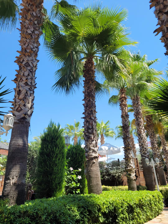 Gartenanlage My Home Resort
