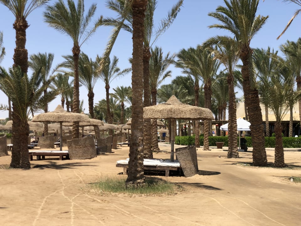 Strand Palm Royale Resort - Soma Bay