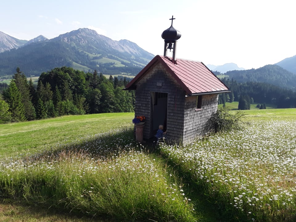 Ausblick Bauernhof Haus Edelweiss