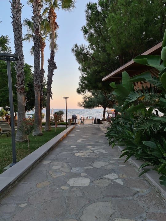 Gartenanlage Arum Barut Collection