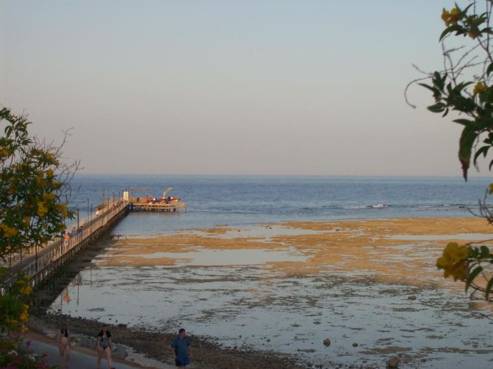 Steg, Strand bei Ebbe TUI MAGIC LIFE Kalawy