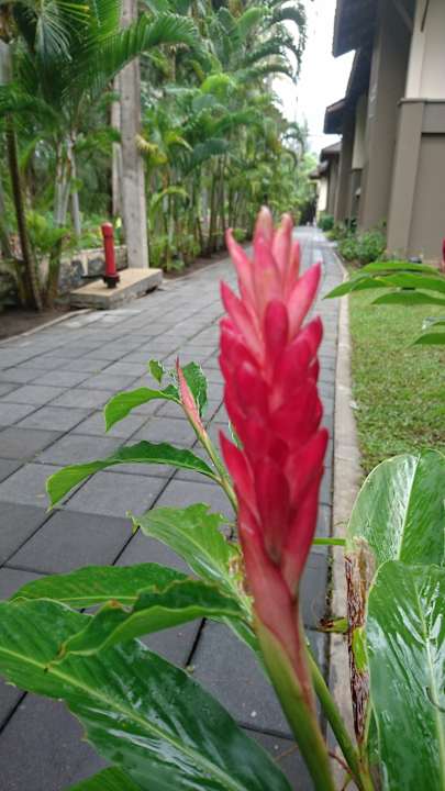 Gartenanlage The Grand Southsea Khaolak Beach Resort