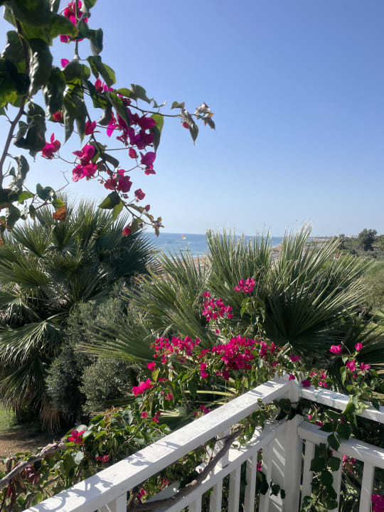 Ausblick Can Garden Resort