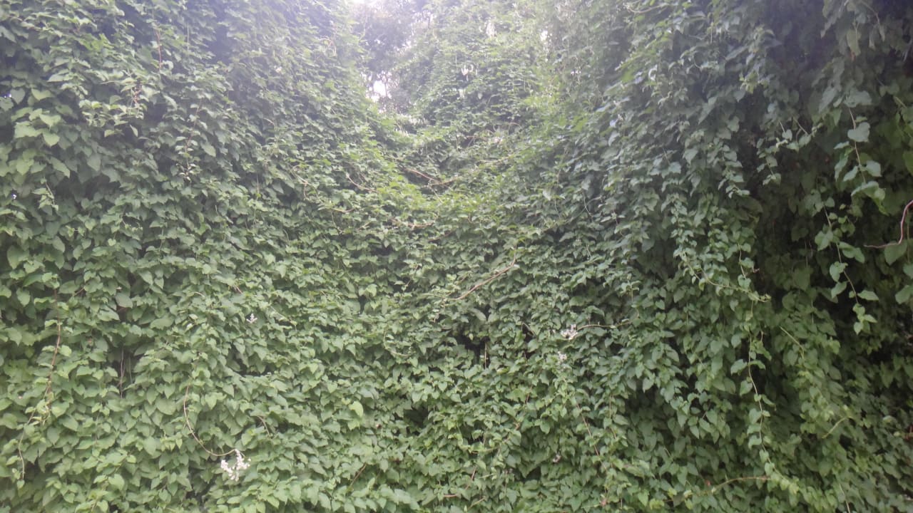 По дороге на море Elena Hotel