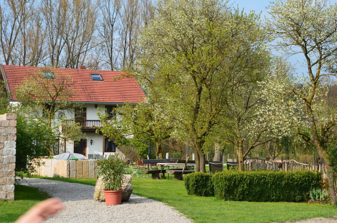 Obstbaumblüte auf dem Huberhof Huberhof